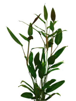 9e312af18857501b37fcce86f2fcfbc2