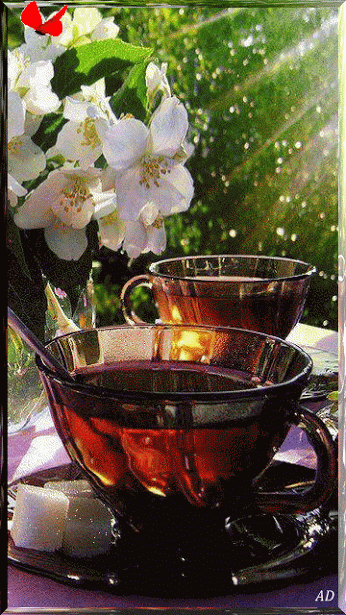 b1cb82338f8c2bb583e68ef270fd3876