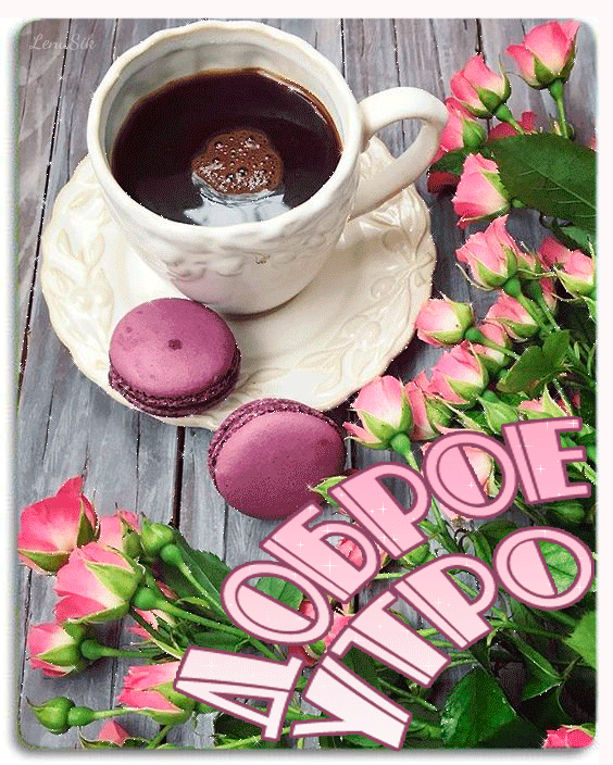 0_1785e9_2056071b_orig