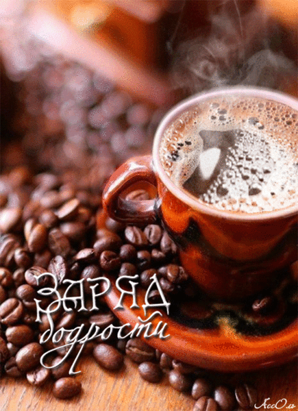 m4ulfs7iz3rxzrur8k95fw0qp