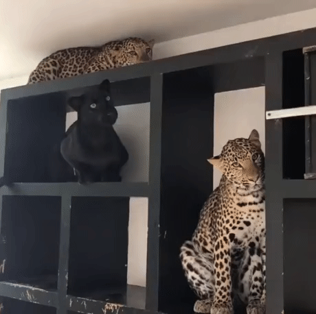 Nichego_sebe_statuetki