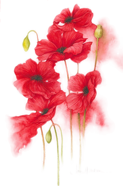 5a2a2ae0272698.4271635415127129281604 (1)