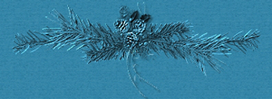 _12_1_arnusha
