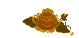 23_6