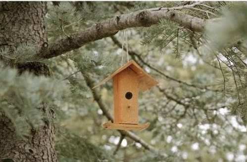 Скворечник