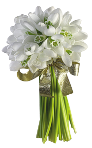 18bd063c378be9e31d92769ebd63ae77