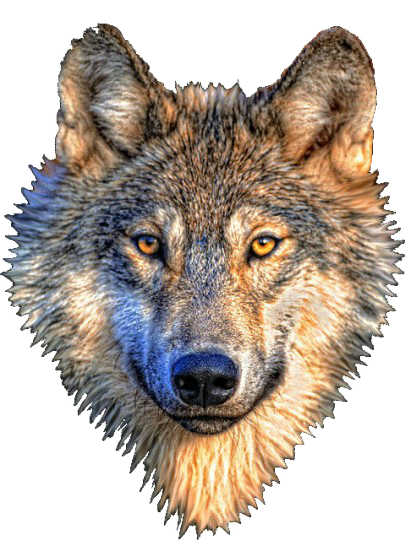 29d621f49788ec7039efbf192226f1c2