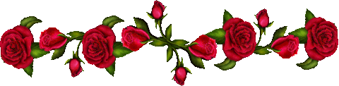 4996405825989118wt
