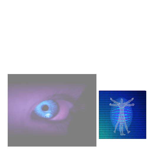 33