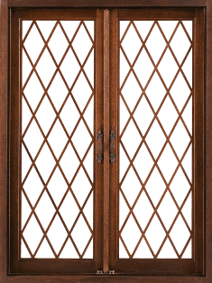windows x
