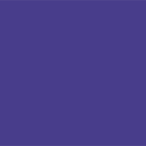 Темный аспидно-синий	#483D8B	72	61	139
