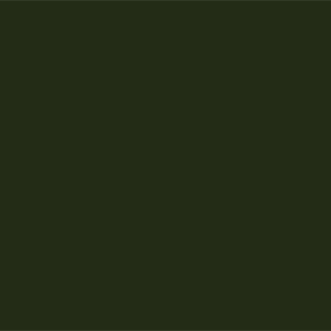 Темный оливково-зеленый	#232C16	35	44	22