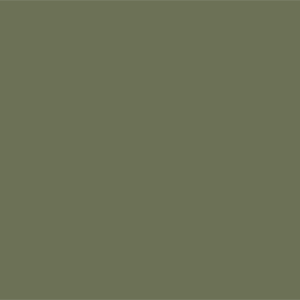 Тростниково-зеленый	#6C7156	108	113	86