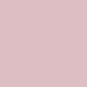 Тускло-амарантово-розовый	#DDBEC3	221	190	195