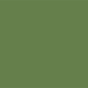 Умеренный желтовато-зеленый	#657F4B	101	127	75