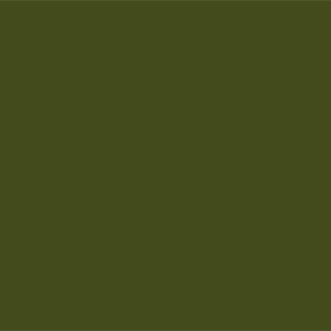 Умеренный оливково-зеленый	#434B1B	67	75	27