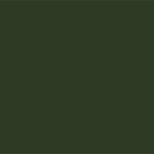 Хромовый зеленый	#2E3A23	46	58	35