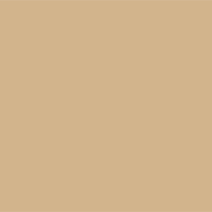 Цвет загара (Желто-коричневый)	#D2B48C	210	180	140