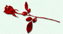 2_arnusha