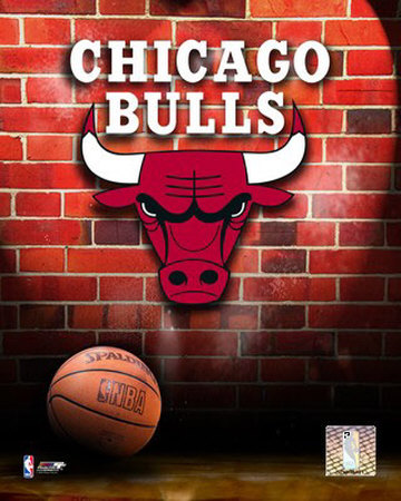 AAGZ199_8x10-2006Logo~Chicago-Bulls-Posters