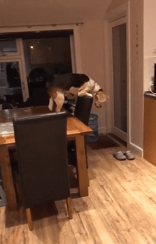 e95ab087b5c6015d4a53178281374793