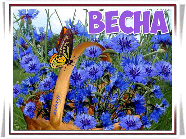 весна