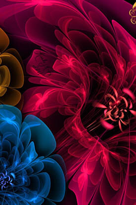 svet-obem-lepestki-babochka (1)