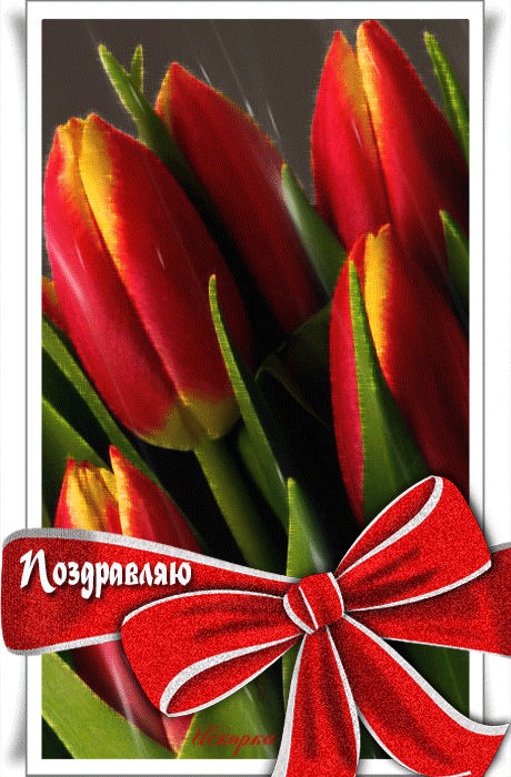 поздравляю