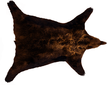 Шкура (на постер)