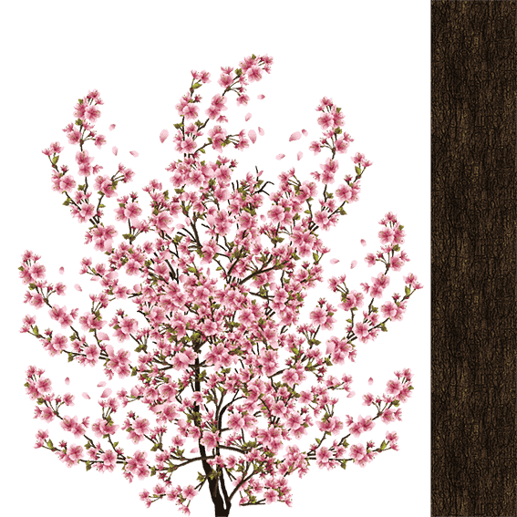 tree_01_d_1-min