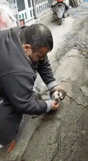 ezgif_com-video-cutter-_1