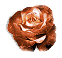 _7_arnusha