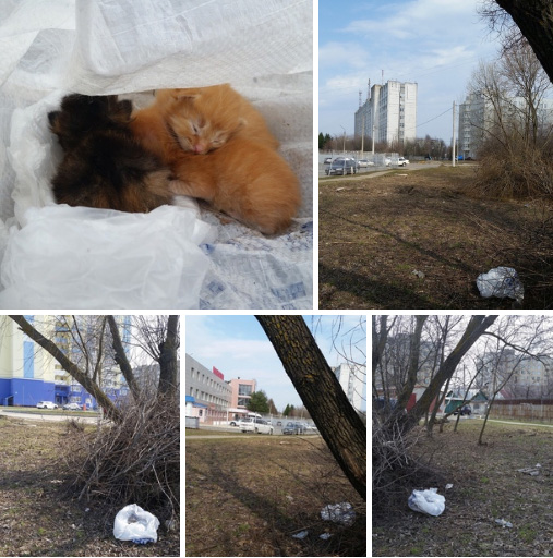 срочно