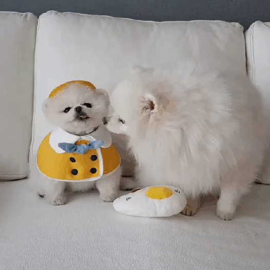 47023927_241027890142711_9003641969552916480_n