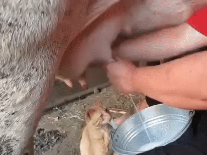 Khorosho_v_derevne_nashey_33__33__33