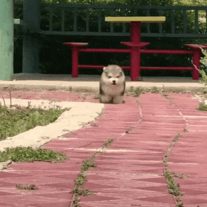 492270c15a7553aa4c1b51f33ea3ea45_273238_1551849554