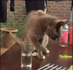 29040138710956_mos_04