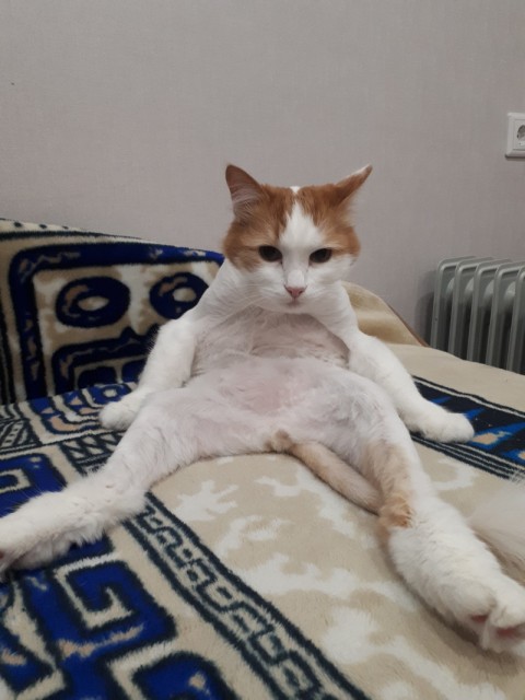 20190503_230319