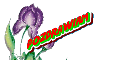 download (2)