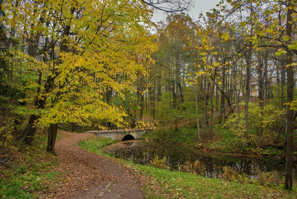 Парк сергиевка в петергофе фото