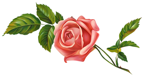 84935434_large_0_830eb_b5f1e6a4_L