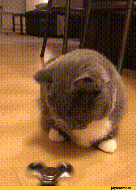 34736452113165_1_(5)