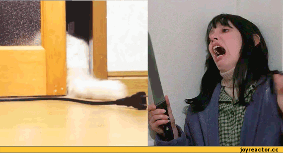 90252987949753_1_(7)