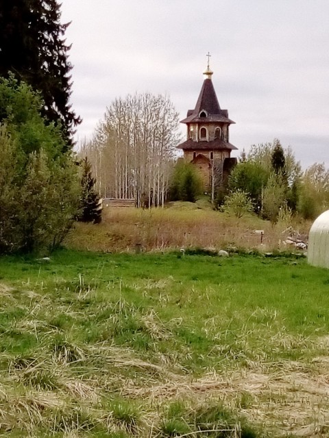o0Tor_sjugA