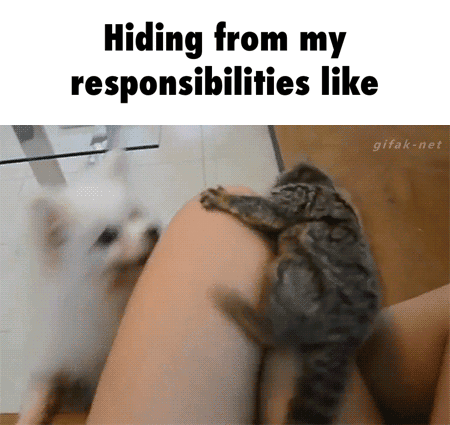 63068386740351_1_(19)