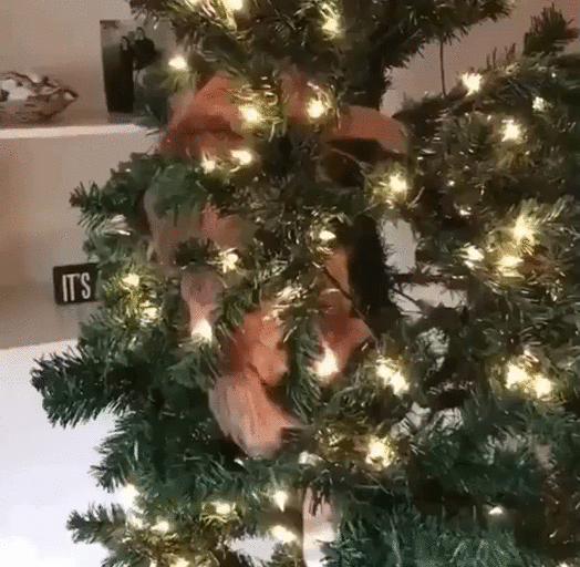 тыгындык