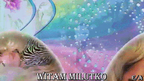 oie_HtGfWWuiTra6