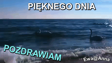 oie_xQtxZVDZHvnA