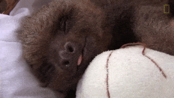 259eb8657b1f5ed824e85e1b6bb1224f_342249_1561790770