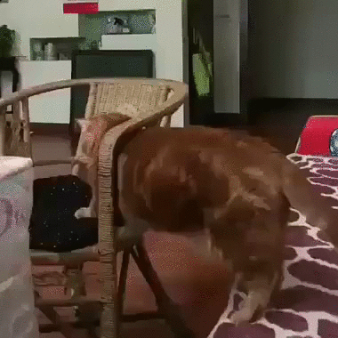 худеть